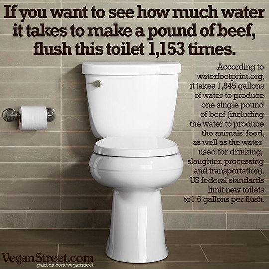 If you want to see how much water it takes to make a pound of beef...