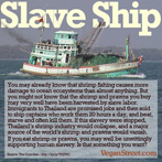 Slave Ship. Eating shrimp supports human slavery.