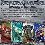 Here are some of the one million species threated with extinction...