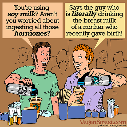 You're using soy milk? Aren't you worried about ingesting all those hormones?