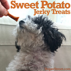 Sweet Potato Jerky Treats