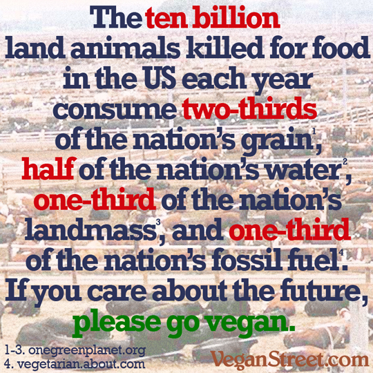 The ten billion land animals killed in the US each year consume...