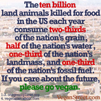 The ten billion land animals killed in the US each year consume...