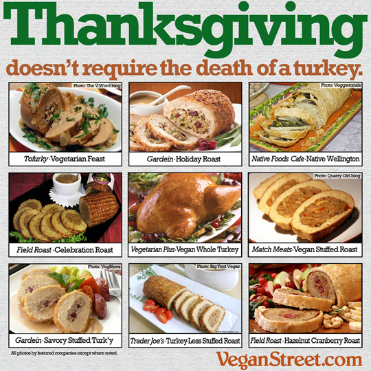 Thanksgiving doesn't require the death of a turkey