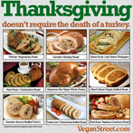 Thanksgiving doesn't require the death of a turkey