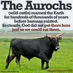 The Aurochs roamed the Earth...