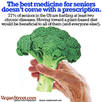 The best medicine for seniors doesn't come with a prescription.