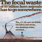 The fecal waste of 60 billion farm animals has to go somewhere.