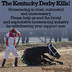 The Kentucky Derby Kills!