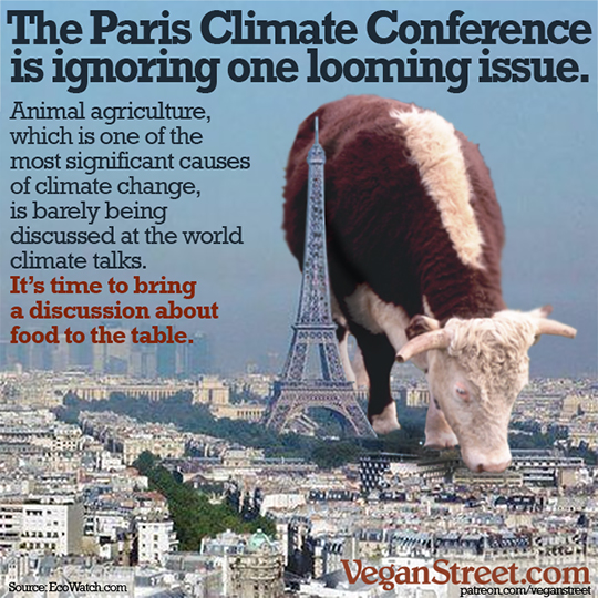 The Paris Climate Conference is ignoring one looming issue.