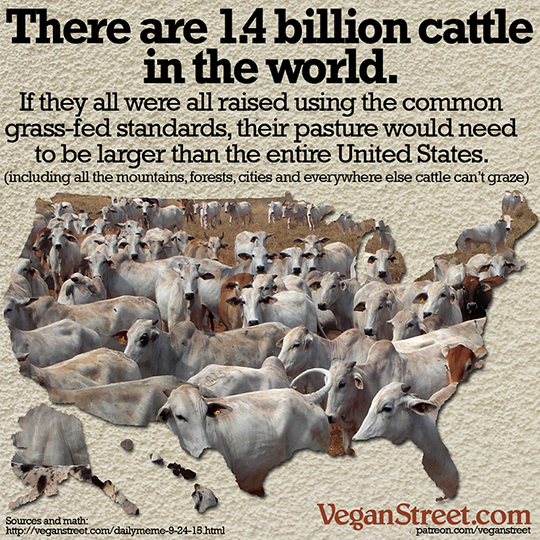 There are 1.4 billion cattle in the world.