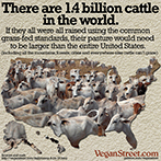 There are 1.4 billion cattle in the world.