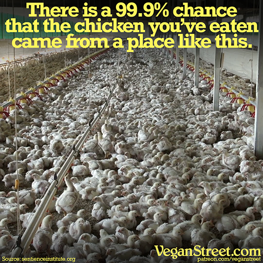 There is a 99.9% chance that the chicken you've eaten came from a factory farm.