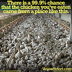 There is a 99.9% chance that the chicken you've eaten came from a factory farm.