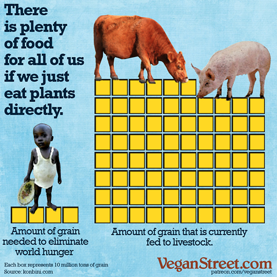 There is plenty of food for all of us if we just eat plants directly.