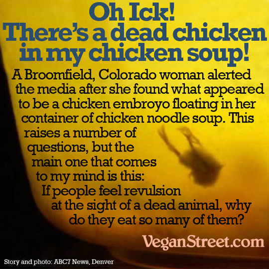 Oh, Ick! There's a dead chicken in my chicken soup!