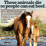 These animals die so people can eat beef.