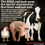The USDA just took away the tiny bit of protection these animals had.