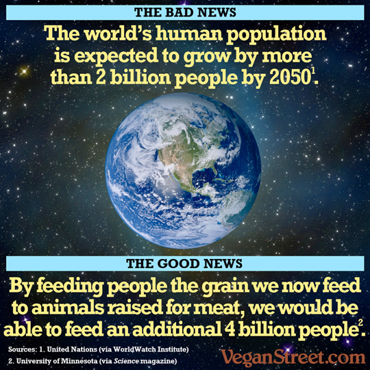 The world's population is expected to grow by more than 2 billion people