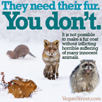 They need their fur. You don't.