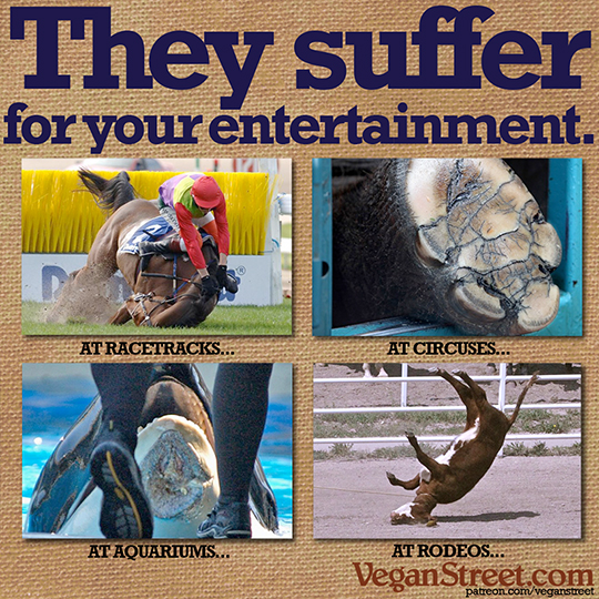 They suffer for your entertainment.