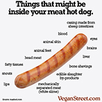 Things that might be in your meat hot dog.