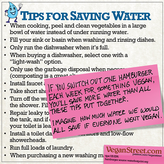 Tips for Saving Water