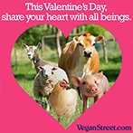 This Valentine's Day, share your heart with all beings.