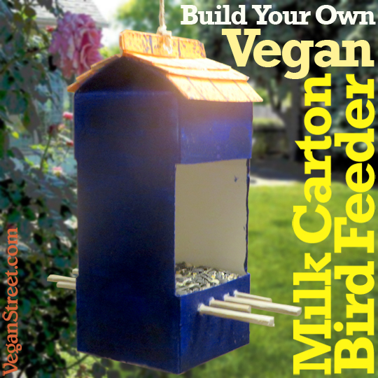 Build Your Own Vegan Milk Carton Bird Feeder