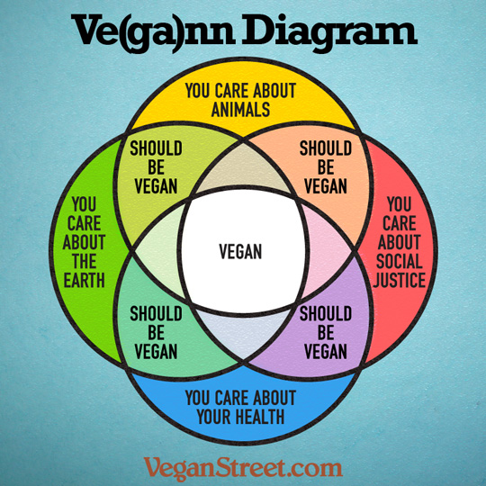 Ve(ga)nn Diagram