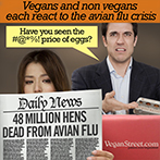 Vegans and non vegans each react to the avian flu epidemic