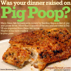Was your dinner raised on pig poop?