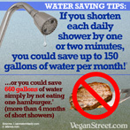 Water Saving Tips: