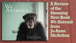 A review of the stunning new book We Animals from Jo-Anne McArthur