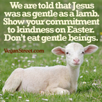 We are told that Jesus was as gentle as a lamb.