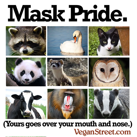 Mask Pride (yours goes over your mouth and nose)