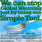 We can stop global warming just by using one simple tool.