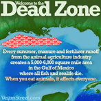 Welcome to the Dead Zone