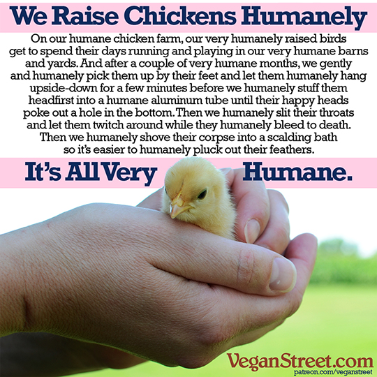 We Raise Chickens Humanely