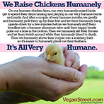 We Raise Chickens Humanely