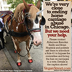 We're very close to ending horse carriage abuse in Chicago.