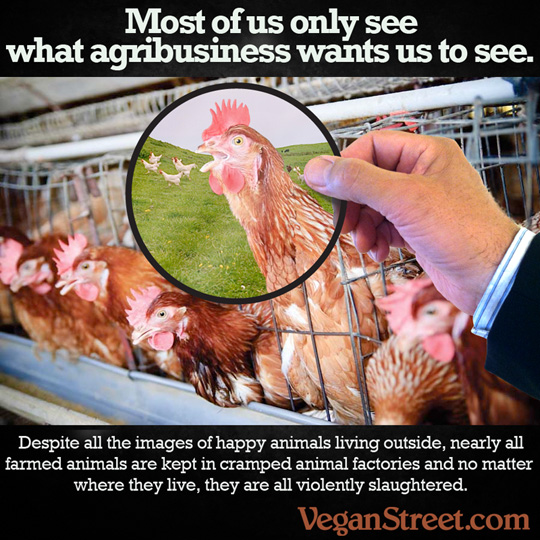 Most of us only see what agribusiness wants us to see.