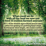 What could we do with all the land that is now used to feed 55 million farmed animals?