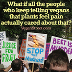 What if the people who keep telling vegans that plants feel pain really cared about that?