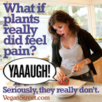 What if plants really did feel pain?