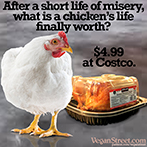 After a short life of misery, what is a chicken's life finally worth?