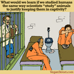 What would we learn if we studied humans...