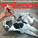 Whenever you eat meat, you're supporting violence.