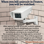 When you kill animals in France, you will be watched.