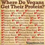Where do vegans get their protein?
